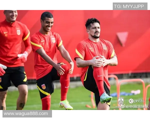 虎扑中国足球热潮再起球迷齐聚共话足球未来与发展